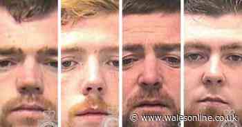 The faces of the gang who raided more than 70 homes in a merciless burglary campaign
