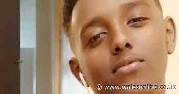 Teen suffered 21 stab and slash wounds before he died in hospital, court told