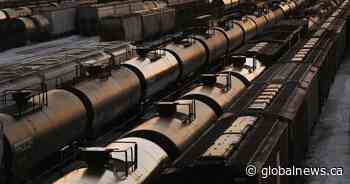 Crude by rail exports fall 15% in October as price differential tightens: Canada Energy Regulator