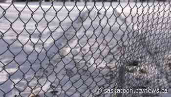 Early morning police chase in Saskatoon ends after car slams into fence