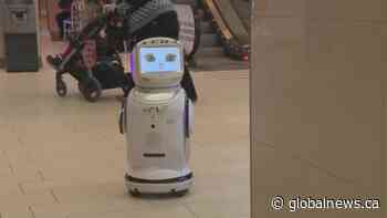 ‘Hey Mylo’ robot designed to help seniors retain independence