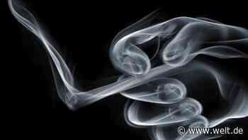 Der E-Hype ist ein Glücksfall für den deutschen Zigaretten-Zwerg