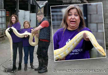 WATCH: Courageous Bolton duo confront terrifying 12-foot python