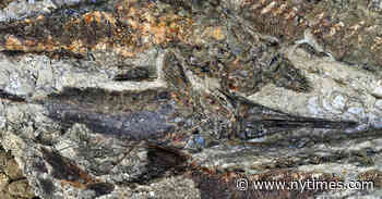 What We Learned in Science News 2019