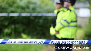 Body found in Hertfordshire being linked to north London murder