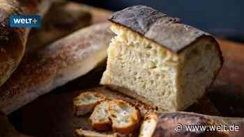 Fünf Euro für 500 Gramm – die Hipster-Antwort auf das Lidlbrot