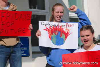 How youth protests shaped the discussion on climate change