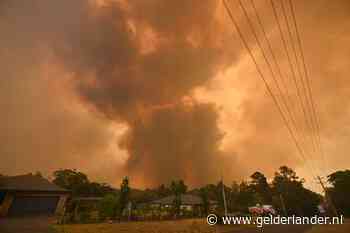 Politie Sydney raadt aan thuis te blijven vanwege heftige bosbranden
