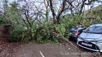 Tornado flips cars and topples trees as severe weather hits Christmas getaway