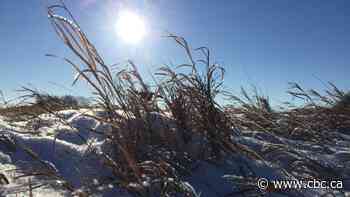 'Balmy' weather expected in Sask. as solstice marks beginning of winter