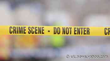 Police probing linked murders say they cannot rule out organised crime