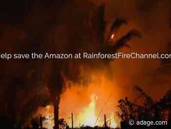 The classic burning yule log becomes a blazing rainforest in PSA