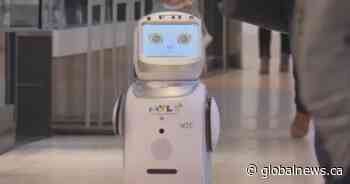 Alberta native creates robot to help people with dementia