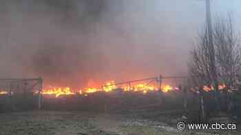 60 firefighters continue to battle N.B. tire fire that could burn for days