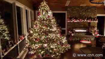 Here are some tips to ensure you don't set your Christmas tree on fire