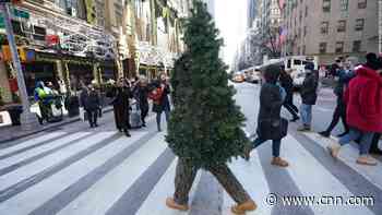 A man dressed up as a Christmas tree is walking around New York City