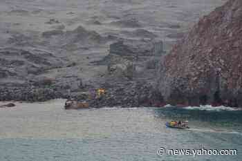 'Excitement turned into horror': New cruise details emerge after New Zealand volcano eruption