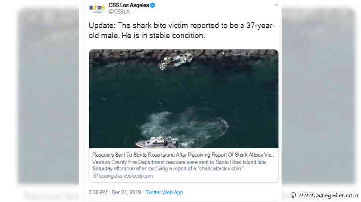 Surfer survives shark bite in Channel Islands south of Santa Barbara