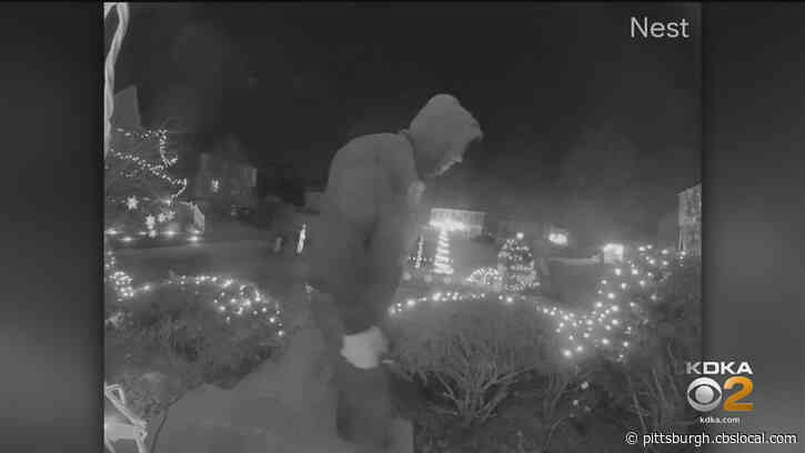 Real-Life ‘Grinch’ Caught On Camera Cutting Down Christmas Lights