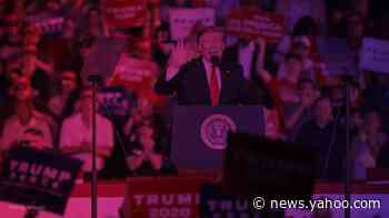 Trump adviser: Expect more aggressive poll monitoring in 2020