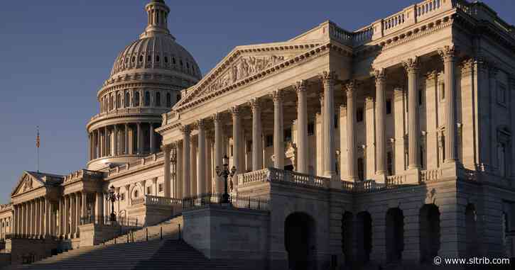 Robert C. Steiner: Senators, behold your duty