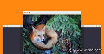The Firefox Browser Settings You Should Tweak Right Now