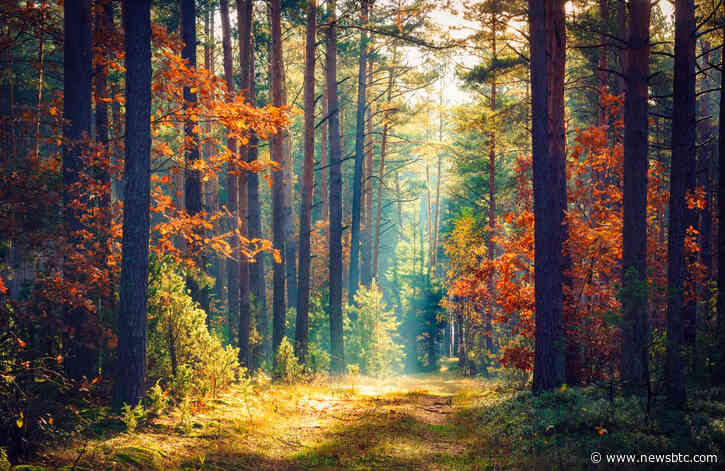 XRP is Down 95% from Its 2018 Peak; What’s Next for the Embattled Crypto?