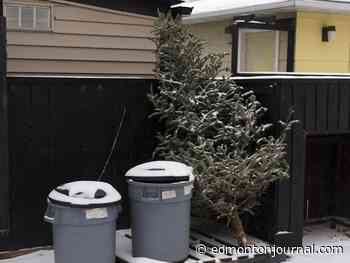 Conservation group urges residents to leave their trees in their yards after the holiday season