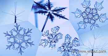 The Science Behind Why No Two Snowflakes Are Alike