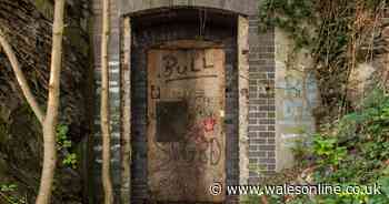The secret tunnels below a Welsh library that kept Leonardo Da Vinci artworks and treasure hidden from the Nazis