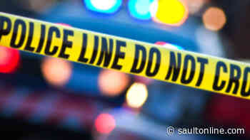 Man accidentally shoots himself while trying to steal a puppy: Police
