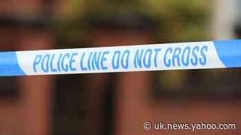 Two feared dead after stabbing in Sussex
