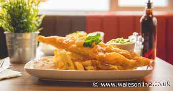 The Welsh restaurants, cafes and takeaways that have won major food awards in 2019