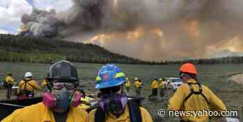 How This Researcher Invented an Entirely New—and Entirely Badass—Field of Science