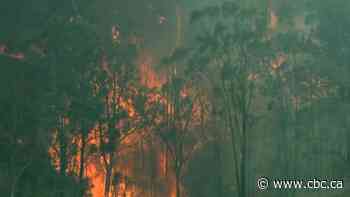 69 Canadians giving up holidays to help with Australian wildfires