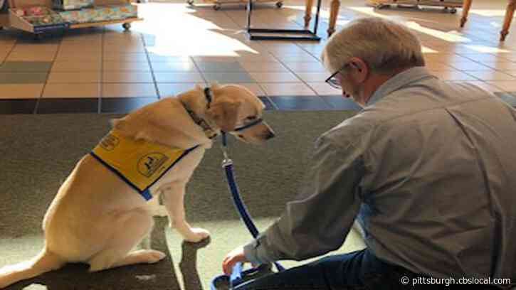 Canine Companions Wrap Presents For Donations