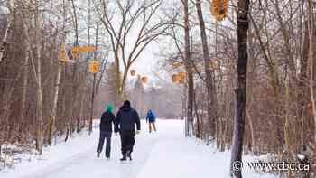 Ice, ice, maybe: City hall, Hawrelak pond rinks could open soon