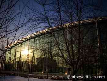 Portrait Gallery pitch reaches feasibility stage