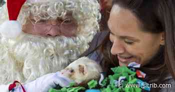 Group brings holiday cheer and support to homeless individuals and their furry friends at Liberty Park