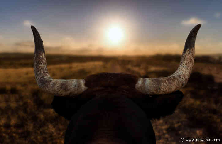 Why Bitcoin Sentiment Has Turned Bullish as BTC Price Taps Two Week High