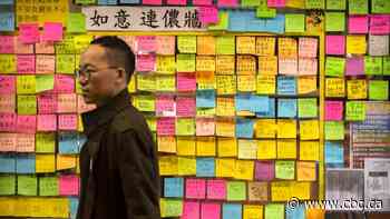 B.C. shop owner 'surprised' he's in guide that colour codes businesses to support Hong Kong protests