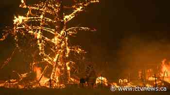 Sixty-nine Canadians giving up holidays to help with Australian wildfires