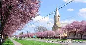 The village in Hungary which hosts a Welsh concert every Christmas