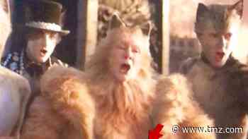 'Cats' Leaves Human Hand on Judi Dench's Cat Body