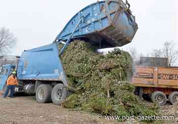 City to residents: Christmas tree recycling season is around the corner