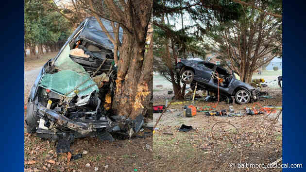 Man Seriously Injured After Crashing Into Tree In Edgewater