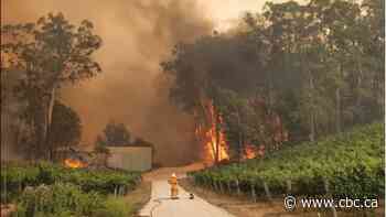 Australia prepares for post-Christmas extreme bushfires