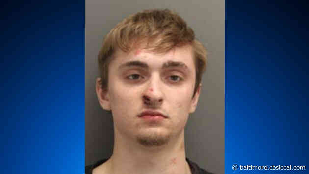 Police: Delaware Man Fires Gun, Swings Ax In Drunken Rage