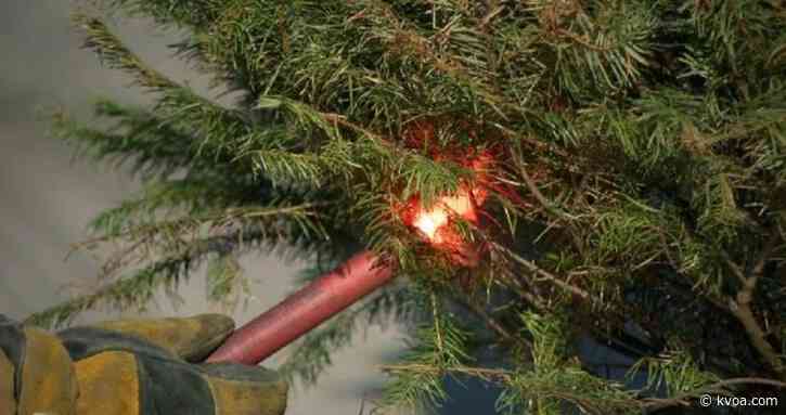 Preventing Christmas tree fires during the holidays