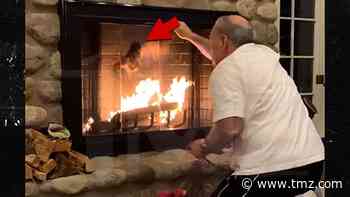 Owl Gets Stuck in Family's Chimney, Almost Goes Up in Flames